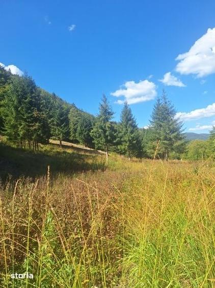 Teren de 10000 mp, în Curățele