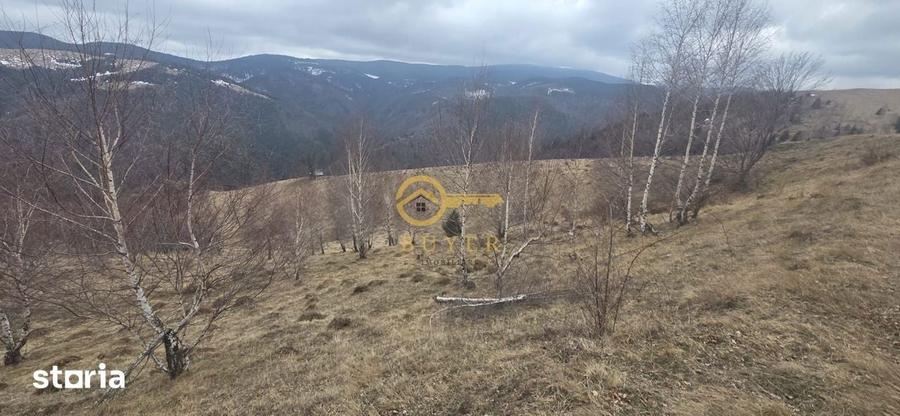Teren de 2025 mp, în Rășinari