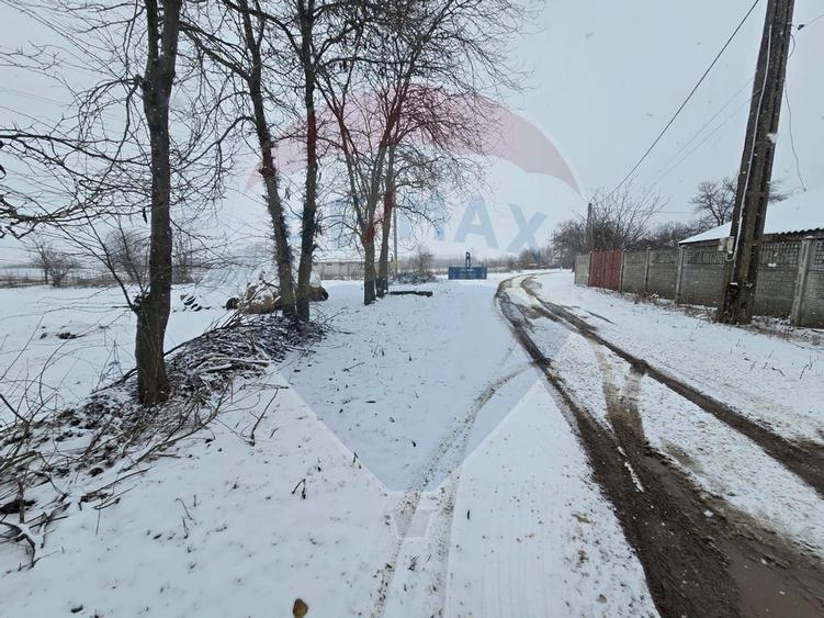 Teren de 1992 mp, în Coșoveni