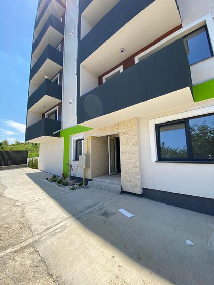 Apartament cu 2 camere semidecomandat în Vișan