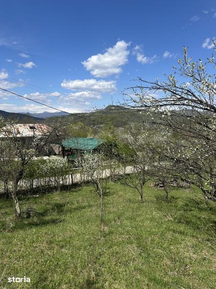 Spațiu comercial, de 2,035 mp, în Provița de Jos