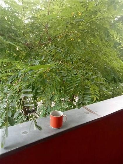 Apartament cu 2 camere decomandat, mobilat în Lidia