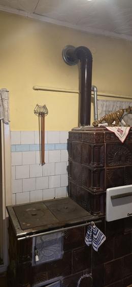 Casă cu 2 camere în Budila