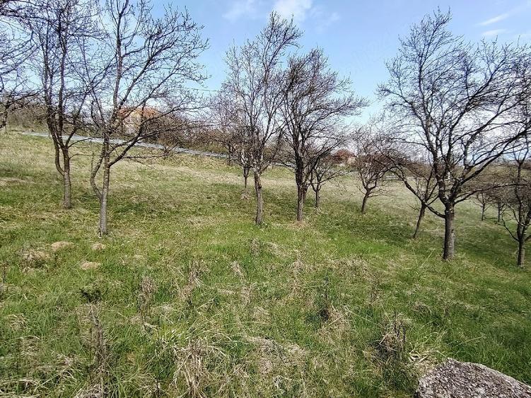 Teren de 2700 mp, în Ghelari