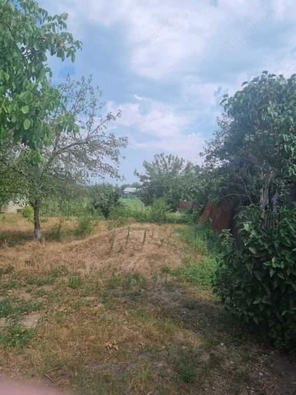 Teren de 3600 mp, în Plosca