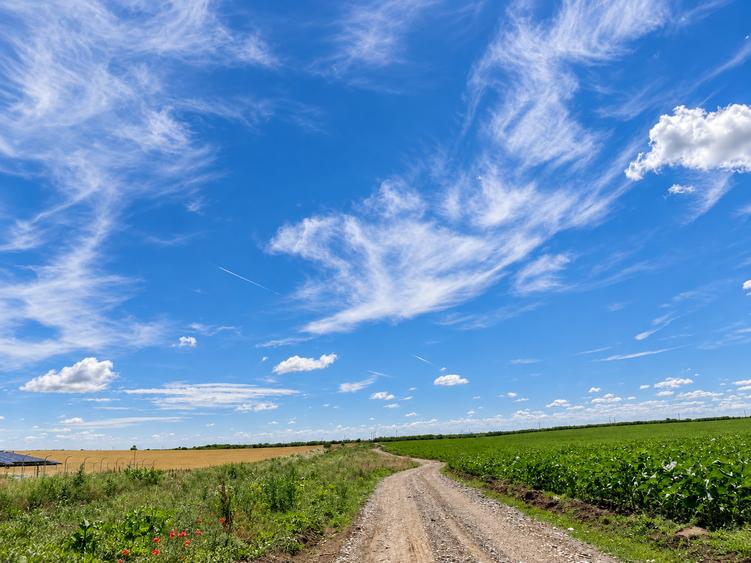 Teren agricol extravilan de 90000 mp, în Iepurești