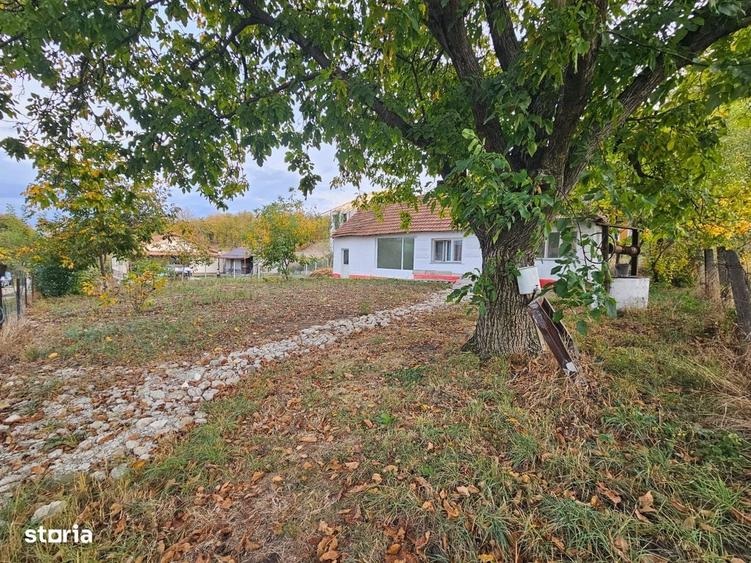 Casă cu 2 camere în Mintia