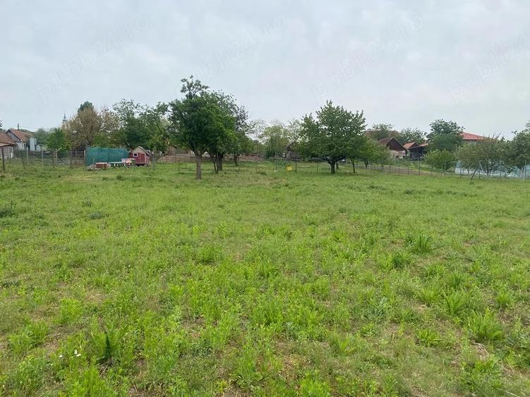 Teren de 4596 mp, în Cetariu