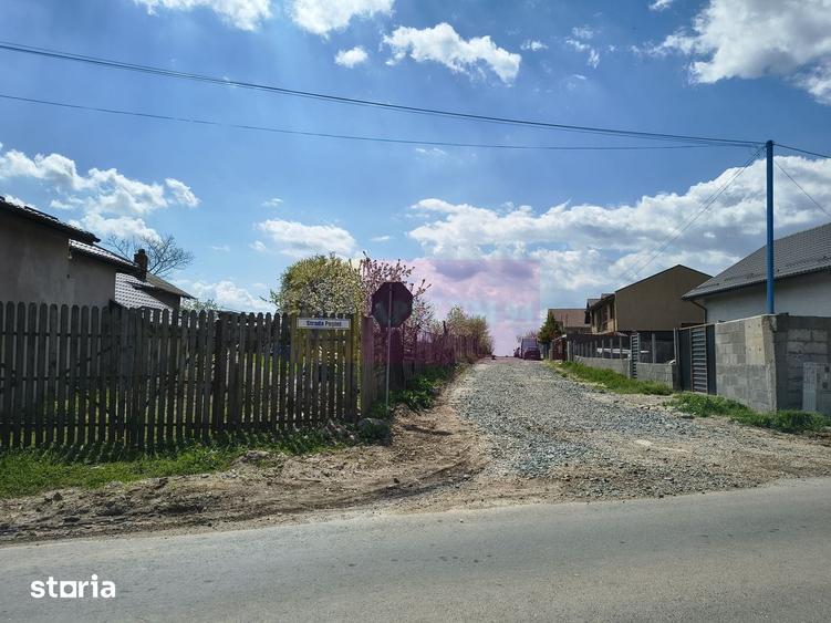 Teren de 3000 mp, în Cernica