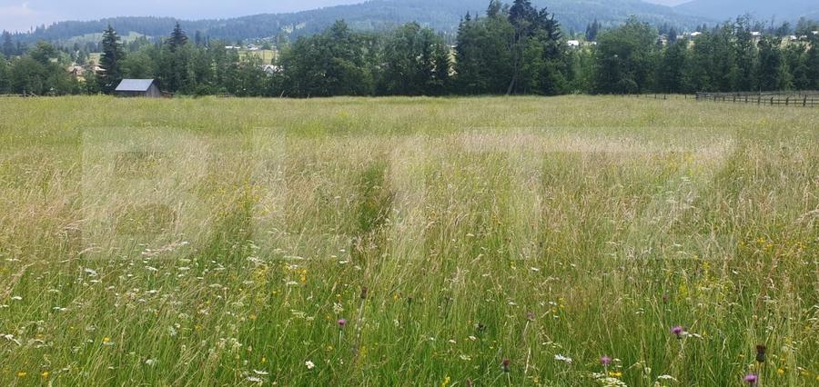 Teren Construcții intravilan de 10000 mp, în Vatra Dornei