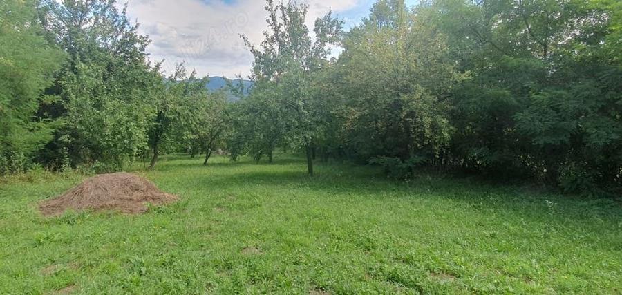 Teren de 4000 mp, în Izvoarele