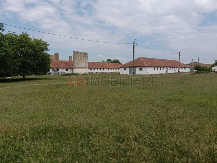 Ferma complet utilată – 30 ha teren comasat cu 11.500mp grajduri renovate Timiș - 7