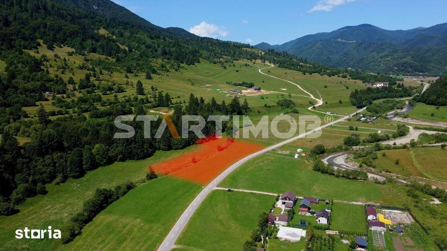 Teren de 7600 mp, în Plaiul Foii