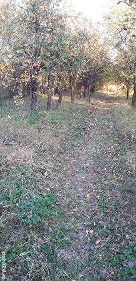 Teren de 600 mp, în Răhău
