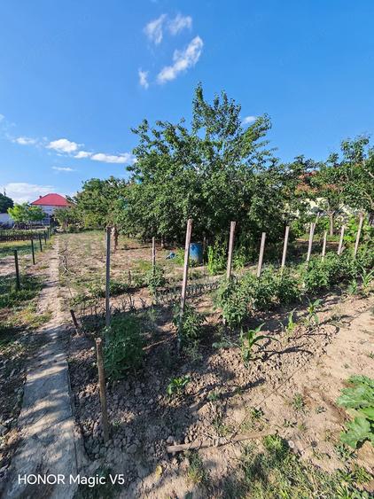 Casă cu Teren 790 Mp în Ghiroda