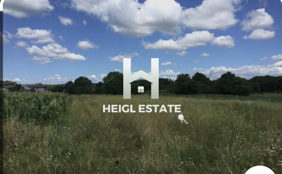 Teren Construcții de 2500 mp, în Bucovăț (Remetea Mare)