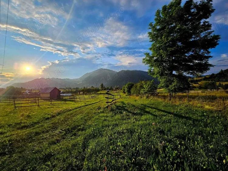 Teren de 1000 mp, în Pojorâta