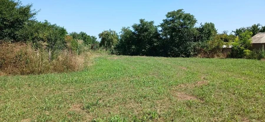 Teren de 2632 mp, în Misleanu