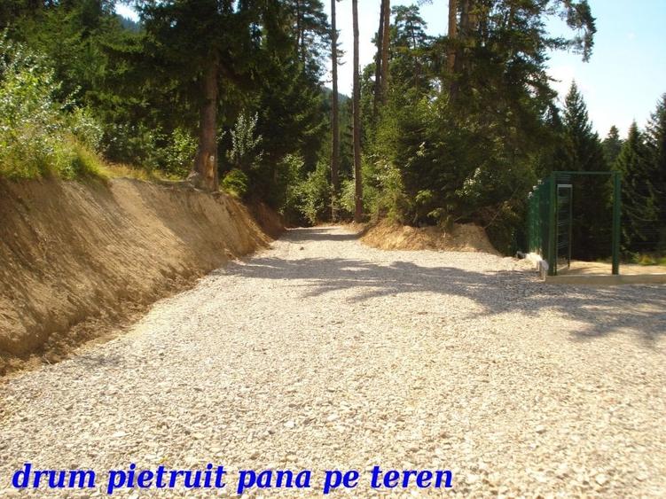 Teren Construcții intravilan de 500 mp, în Electroprecizia