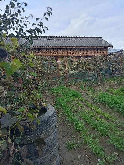 Casă cu Teren 870 Mp în Bălăneasa