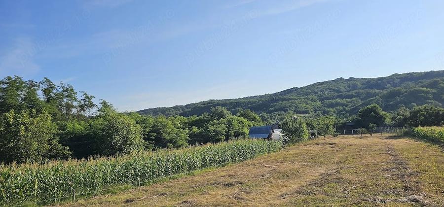 Casă cu 2 camere cu Teren 10000 Mp în Mitrofani