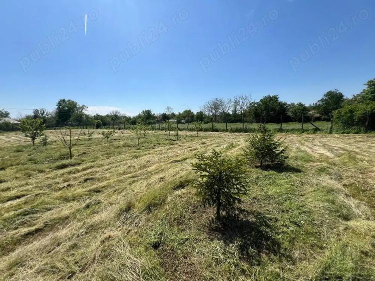 Teren de 1424 mp, în Bărcănești