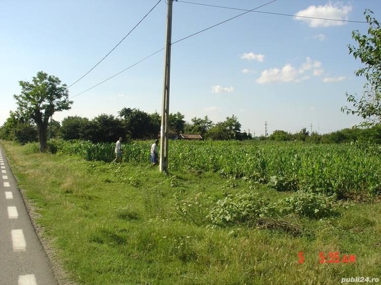 Teren de 2500 mp, în Sălcioara