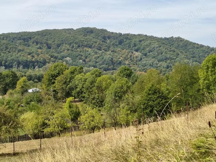 Teren de 2050 mp, în Livadea