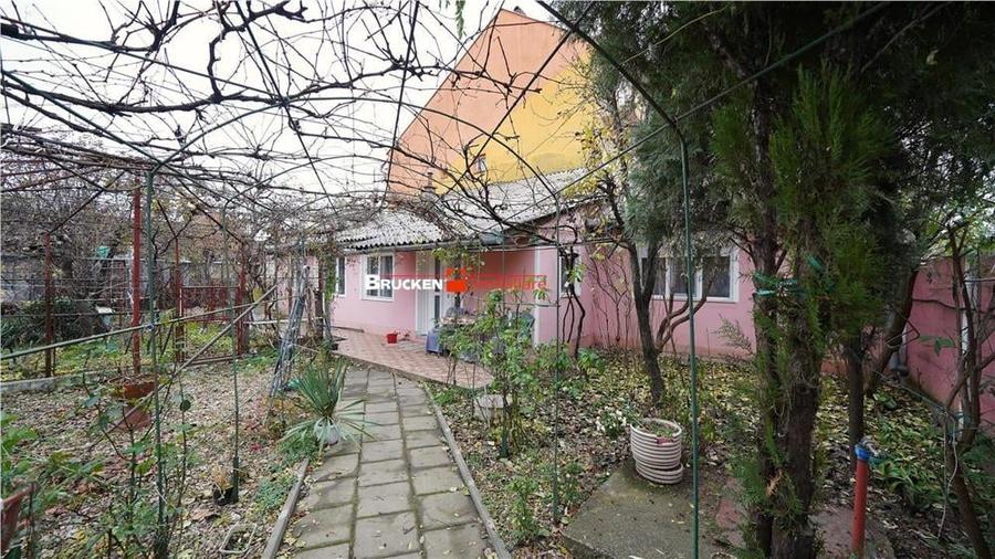 CASA PE COLT | IOSIA | TEREN DE 444 MP - 14