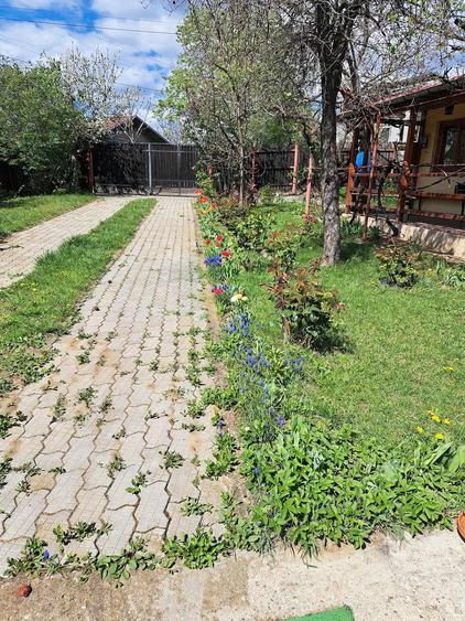 Casă cu Teren 800 Mp în Seciu
