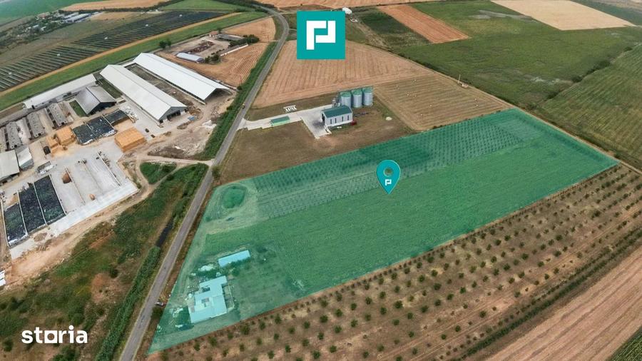 Teren de 36000 mp, în Central