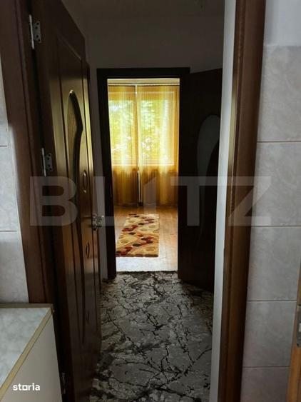 Apartament cu 2 camere semidecomandat în Paltin