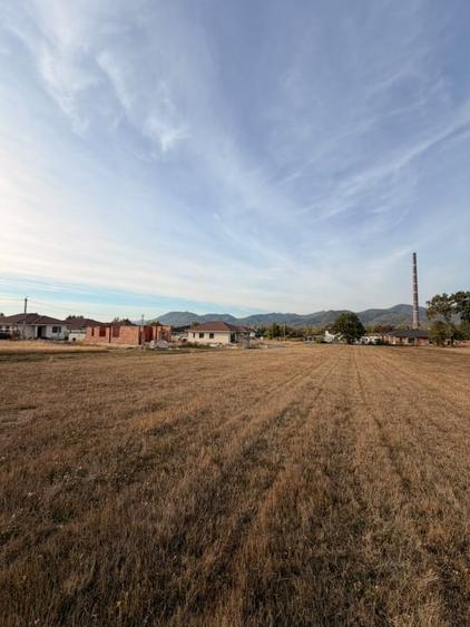 Teren Construcții extravilan de 3600 mp, în Vasile Alecsandri