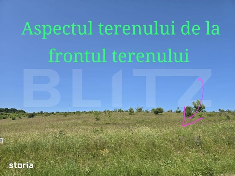 Teren de 1200 mp, în Ciurila