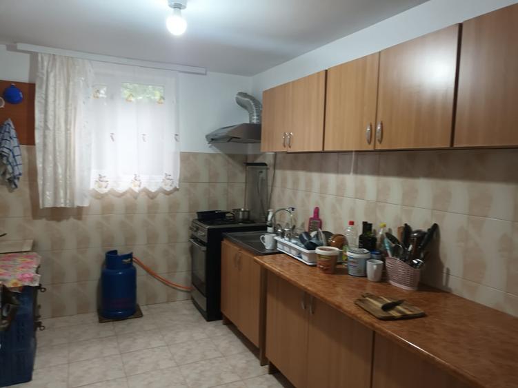 Casă individuală cu 4 camere cu Teren 10000 Mp în Central