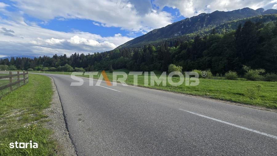Teren de 7600 mp, în Plaiul Foii
