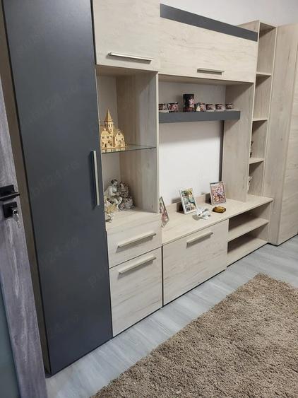 Apartament cu 2 camere nedecomandat în Valea Rosie