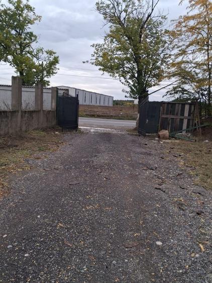 Spațiu comercial, în Cernica
