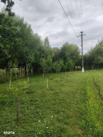 Casă cu 2 camere cu Teren 1800 Mp în Frătăuții Noi