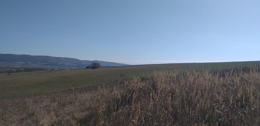 Teren agricol extravilan de 5000 mp, în Apața