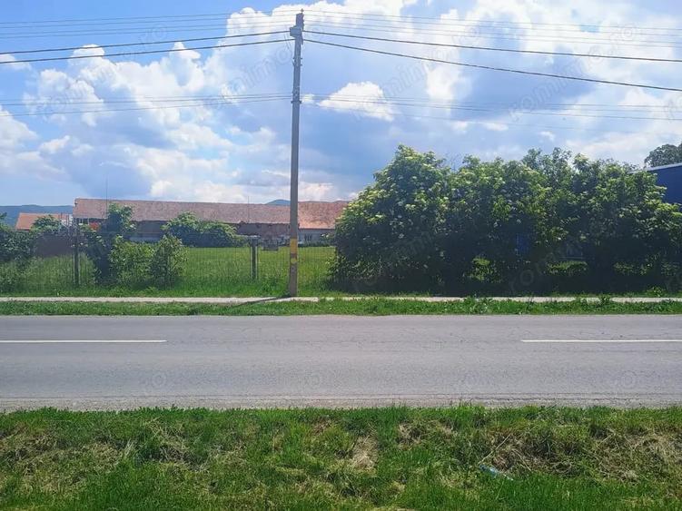Teren de 4400 mp, în Cărpiniș
