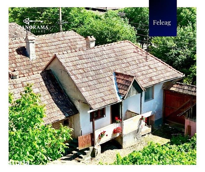 Casă cu 3 camere cu Teren 1590 Mp în Vânători
