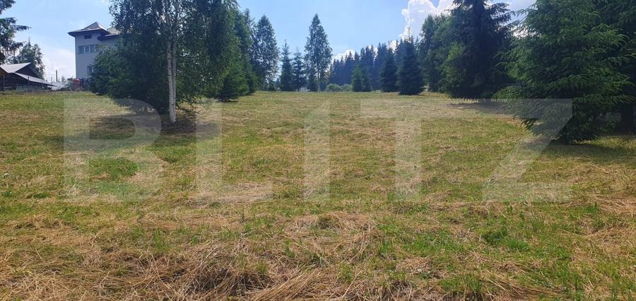 Teren Construcții intravilan de 3268 mp, în Vatra Dornei