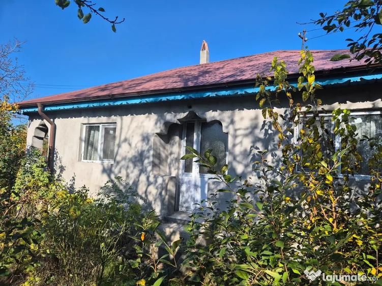 Casa batraneasca Colceag Prahova - Colceag (Prahova) - 15