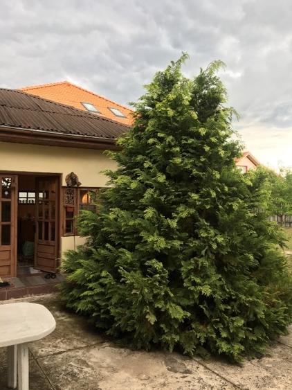 Casă individuală cu 4 camere cu Teren 2300 Mp în Siliștea Snagovului