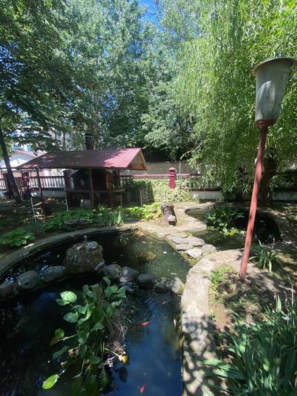 Casă individuală cu 9 camere cu Piscina în Roșu
