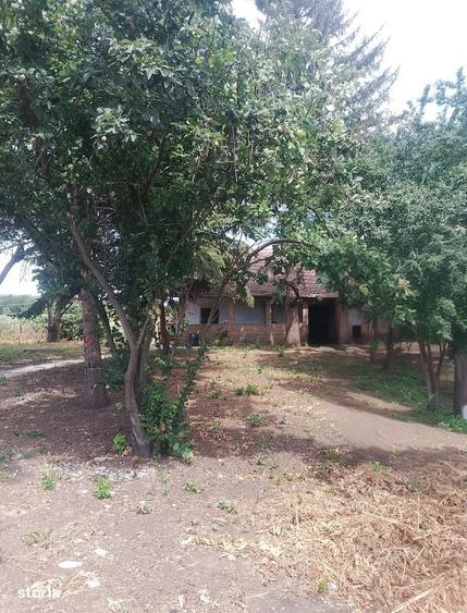 Casă cu 3 camere cu Teren 3500 Mp în Central