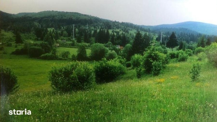 Teren de 24000 mp, în Voșlăbeni