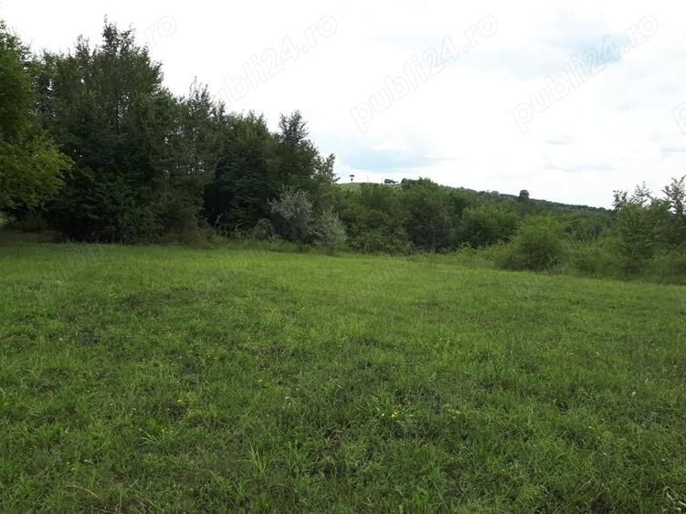 Teren de 3600 mp, în Valea Călugărească