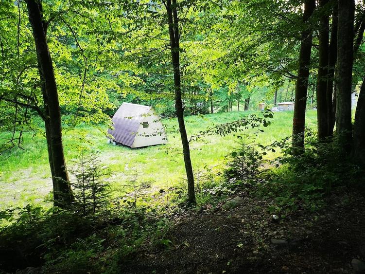 Teren de 3275 mp, în Frumoasa